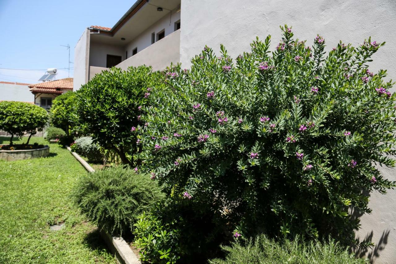 Yannis Apartments 아피토스 외부 사진
